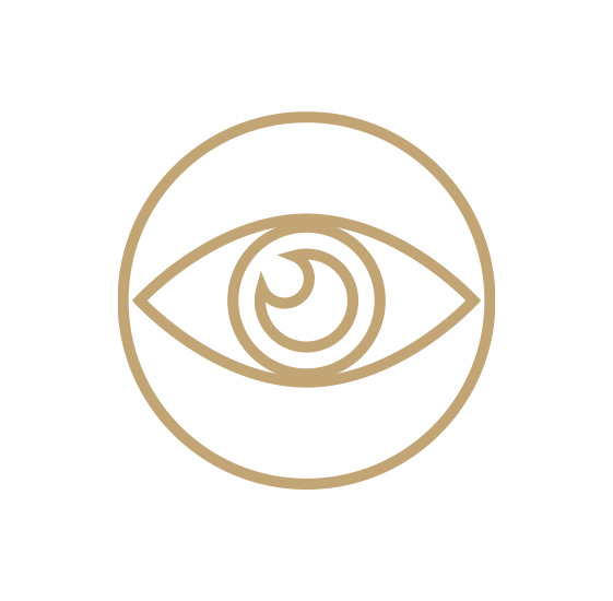 eye icon